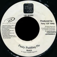 Panty Pudding Pie