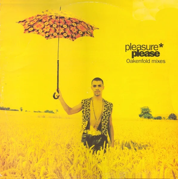 Please (Oakenfold Mixes)