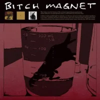 Bitch Magnet