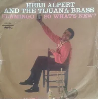 Flamingo / So What's New?