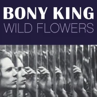 Wild Flowers