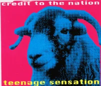 Teenage Sensation