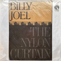 The Nylon Curtain