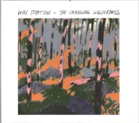 The Changing Wilderness