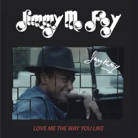 Love Me The Way You Like