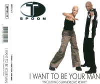 I Want To Be Your Man