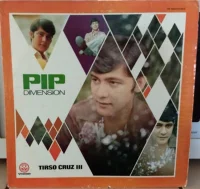 Pip Dimension