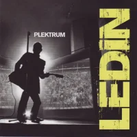 Plektrum