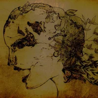 Of Aging Stones And Rotting Leaves