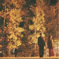 Songs Put Together For (The Broken Giant)