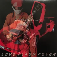 Love Flash Fever