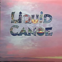 Liquid Canoe