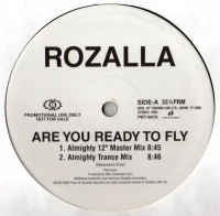 Are You Ready To Fly (Almighty Associates Remixes)