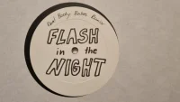 Flash In The Night