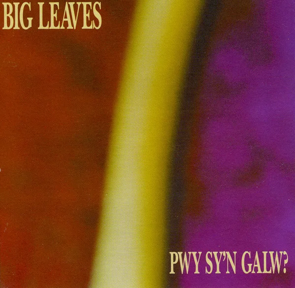 Pwy Sy`n Galw?