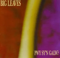 Pwy Sy`n Galw?