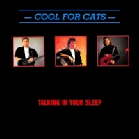 Talking In Your Sleep