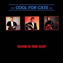 Talking In Your Sleep