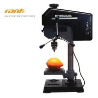 Black Snow / The Citrus Juicer