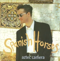 Spanish Horses