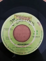 El Aguacerito