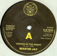 Voices In The Night