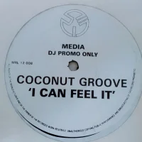 I Can Feel It