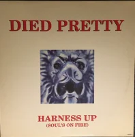 Harness Up (Soul's On Fire)