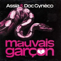 Mauvais Garçon
