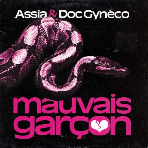 Mauvais Garçon