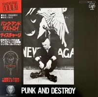 Punk And Destroy
