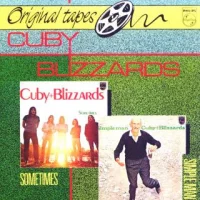Simple Man / Sometimes