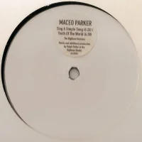 Sing A Simple Song / Youth Of The World (The BigBone Remixes