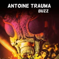Buzz