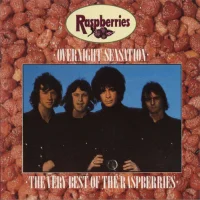 Overnight Sensation: The Very Best Of The Raspberries