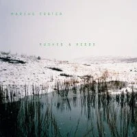 Rushes & Reeds