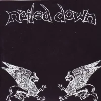 Nailed Down / Ruido