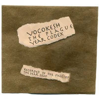 The Plague Year Codex