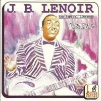 The Topical Bluesman - From Korea To Vietnam