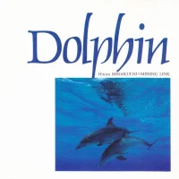 Dolphin （〜波の記憶〜）
