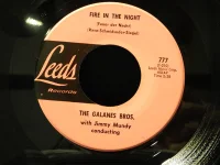 Fire In The Night