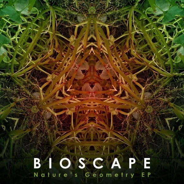 Nature's Geometry EP
