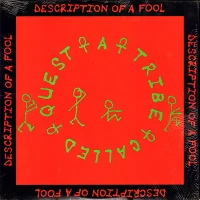 Description Of A Fool