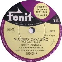 Vecchio Cavallino / La Brunetta