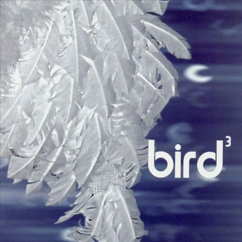 Bird 3