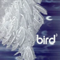 Bird 3