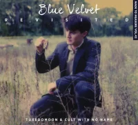 Blue Velvet Revisited