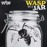 Wasp In A Jar