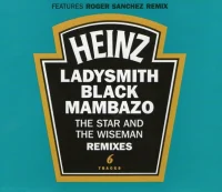 Inkanyezi Nezazi (The Star And The Wiseman) (Remixes)
