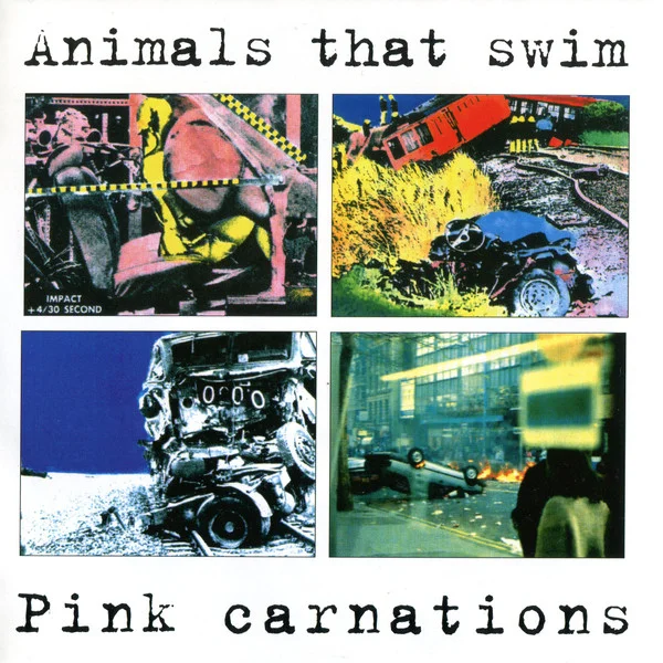 Pink Carnations